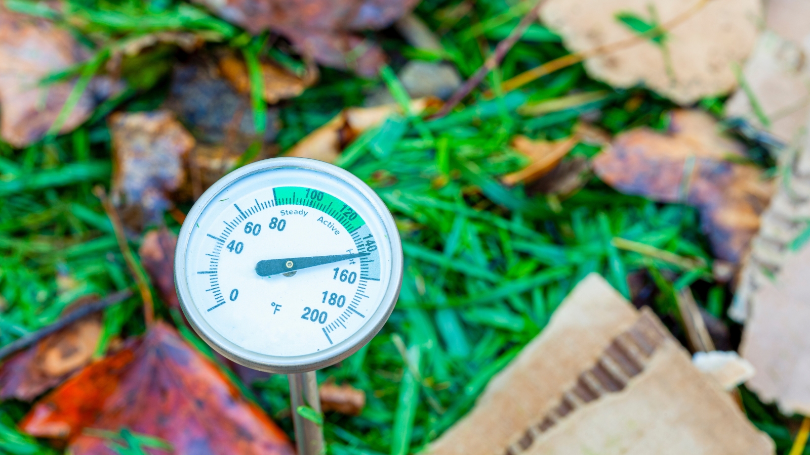 A metal thermometer inserted into decomposing organic matter, with a reading visible and surrounding debris of green leaves and brown twigs.