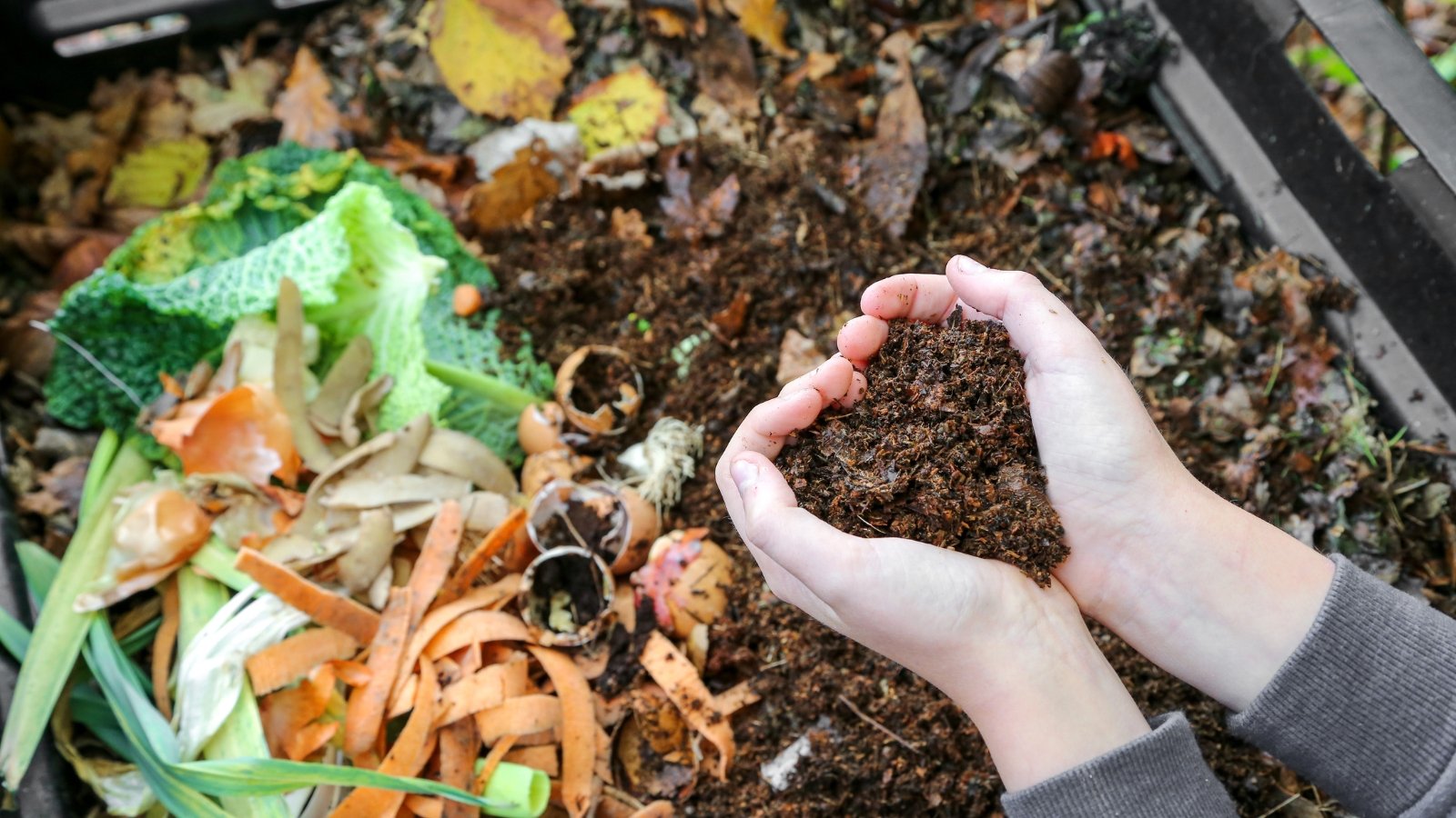 How Scorching Ought to My Compost Pile Be?