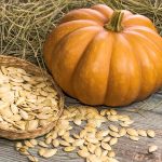 The appropriate methodology to Save Pumpkin Seeds for Subsequent Yr: 7 Expert-Suggestions