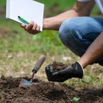 13 Fall Soil Enhancements You Can Apply Now