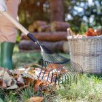 11 Fall Gardening Duties You Mustn’t Ignore