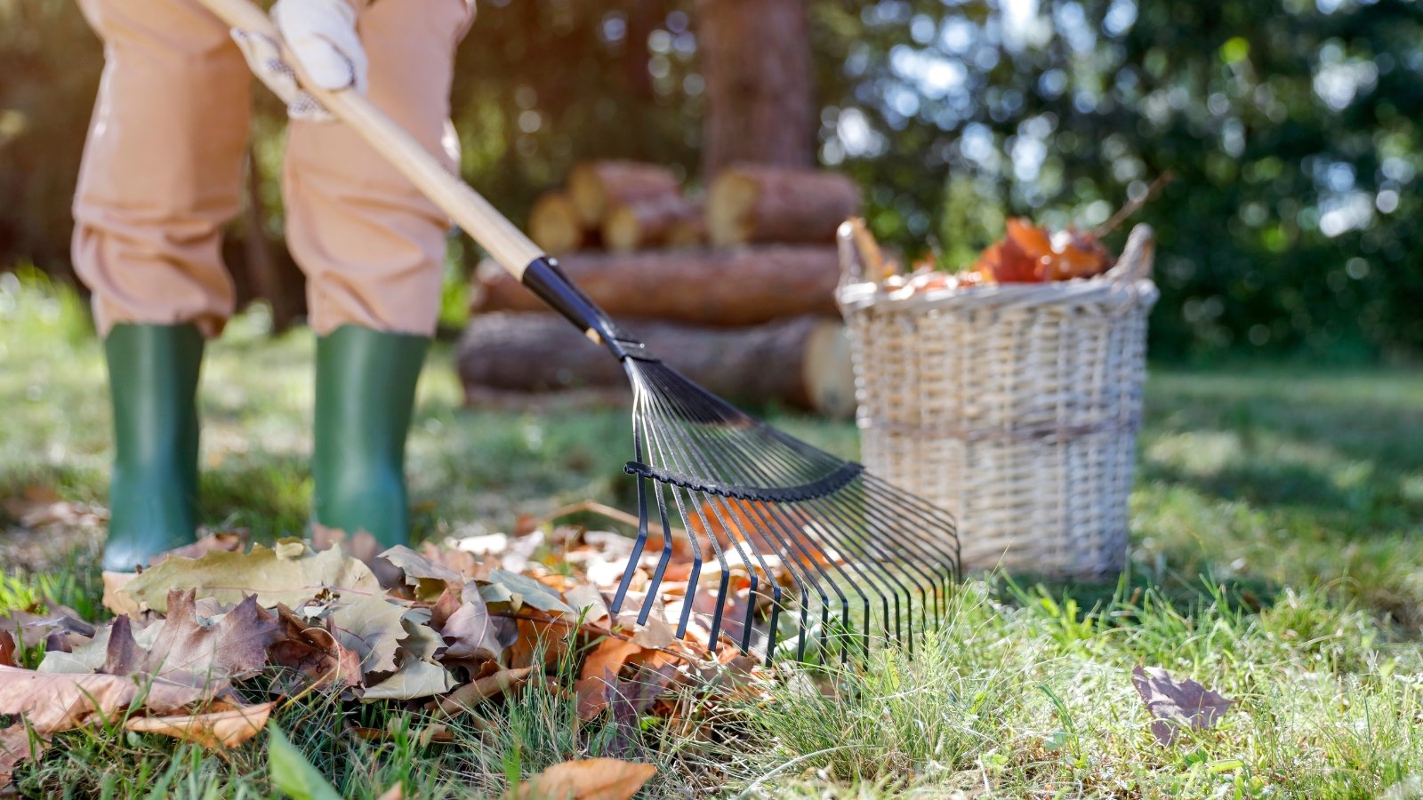 11 Fall Gardening Duties You Mustn’t Ignore