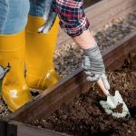 7 Advantages of Amending Your Soil contained in the Fall