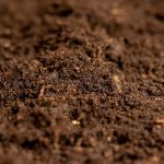 What’s Appropriately-Drained Soil? Easy methods to Assess Soil Drainage