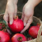 5 Indicators Your Pomegranates Are Ripe and Prepared To Harvest