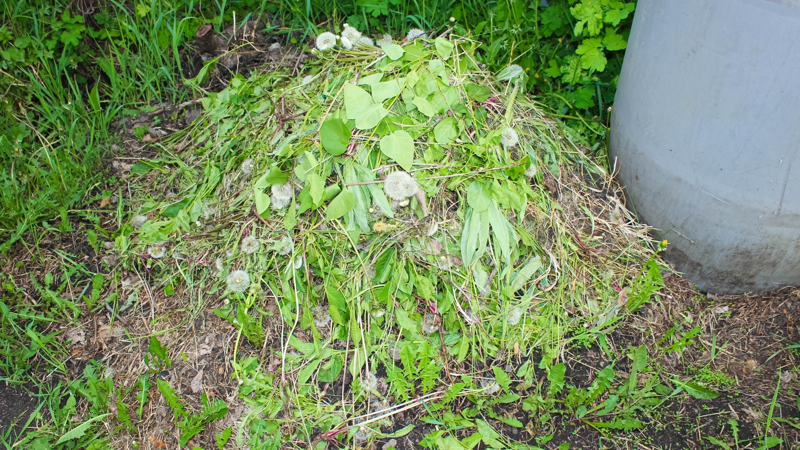 A bunch of freshly pulled green weeds lying on the ground, surrounded by soil and a few scattered leaves, with sunlight casting soft shadows.