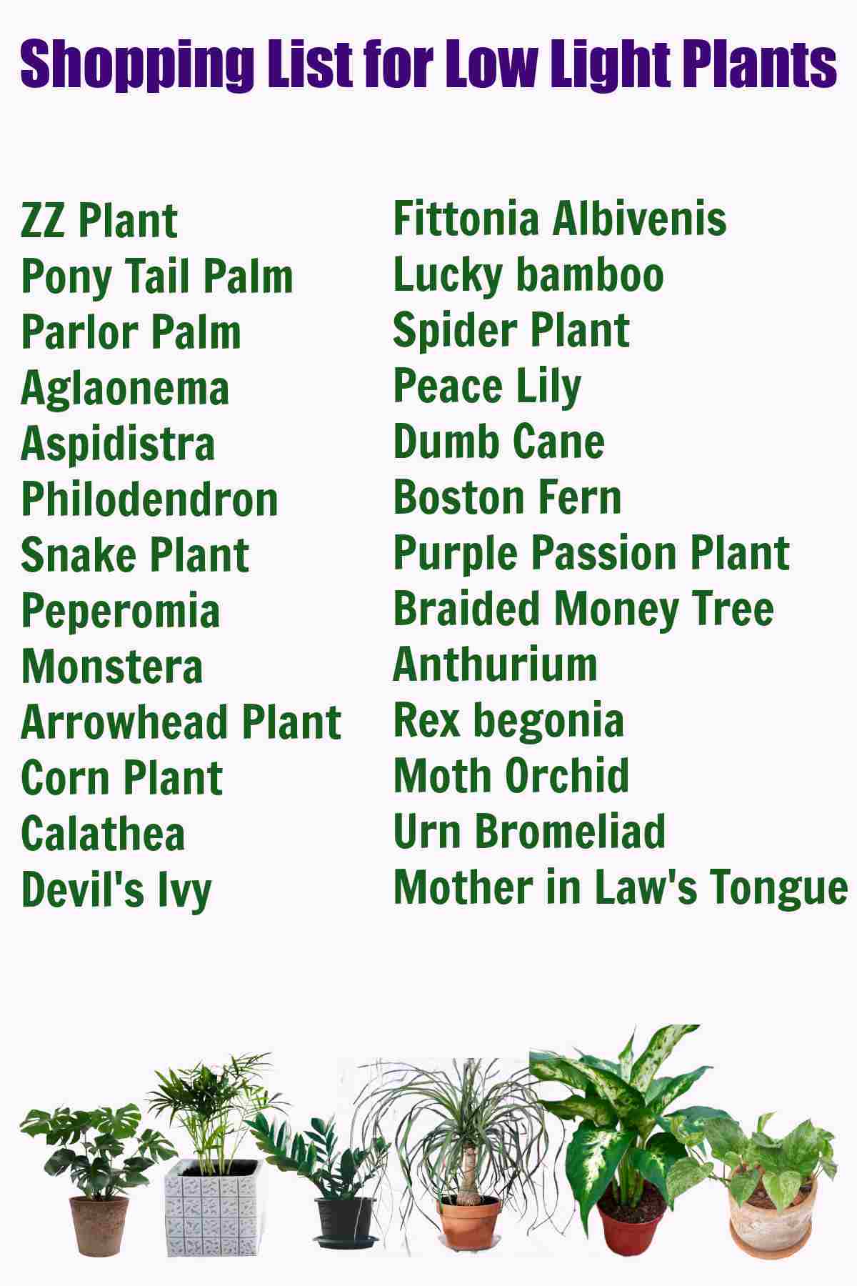 Shopping list for low light indoor plants with plant names.