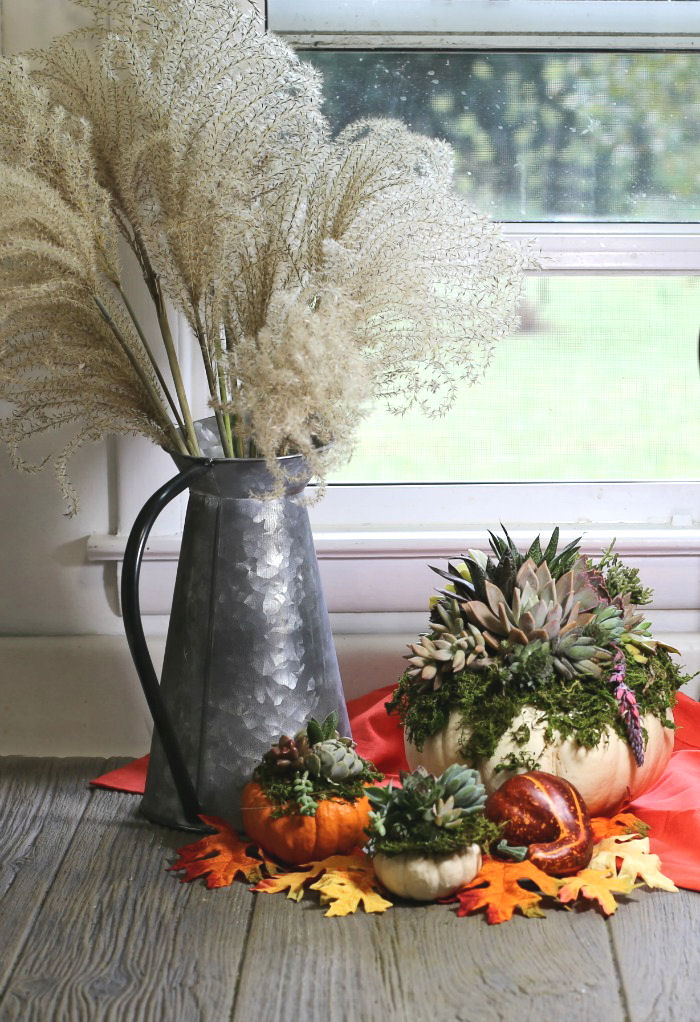 Fall succulent planter display