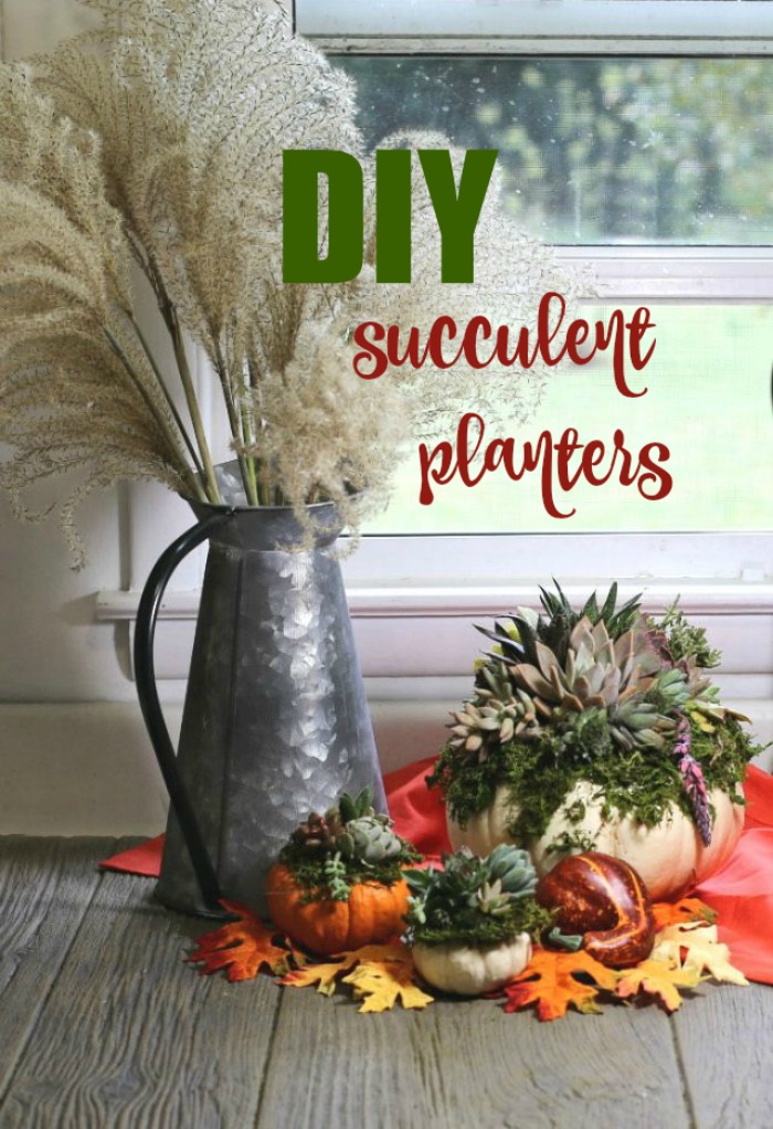 DIY succulent planters