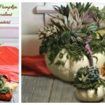 DIY Pumpkin Succulent Planters – Easy Fall Pumpkin Centerpiece