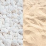 Perlite Vs. Sand: The Best Method to Improve Soil Drainage