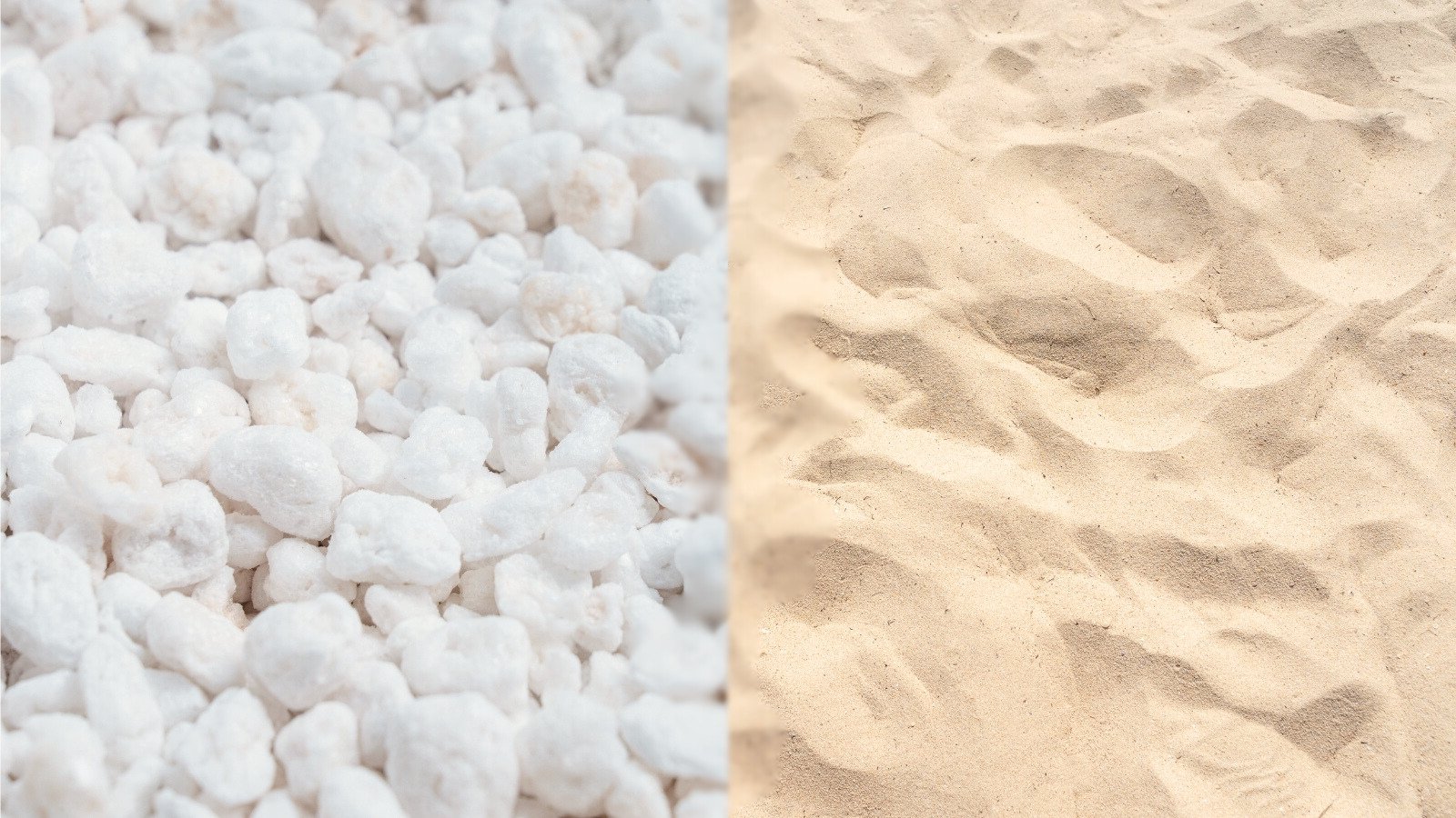 Perlite Vs. Sand: The Best Method to Improve Soil Drainage